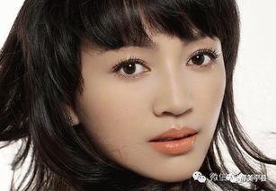 平凉的明星,揭秘平凉籍明星风采