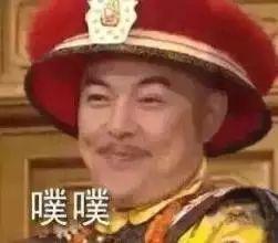 张铁林康熙王朝表情包,张铁林经典表情包背后的传奇故事