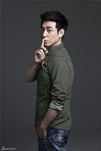 演员 刘欢,音乐巨匠的传奇人生