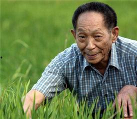 袁隆平相关资料,农业奇迹的创造者与传承者”